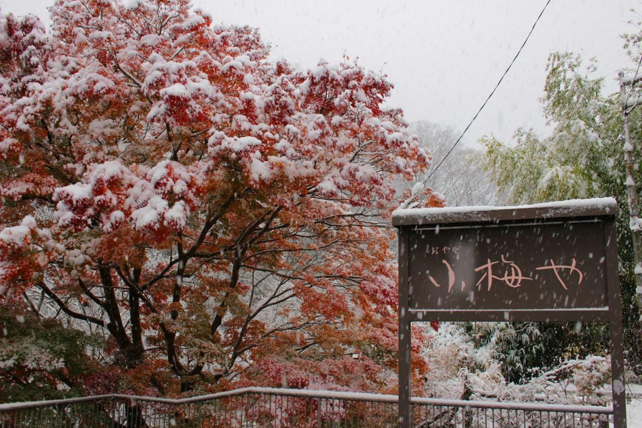 Hotel Koumeya Nasushiobara Exteriér fotografie